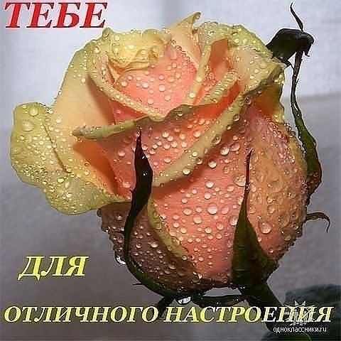 getImage 80