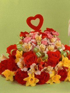 card10 240x320