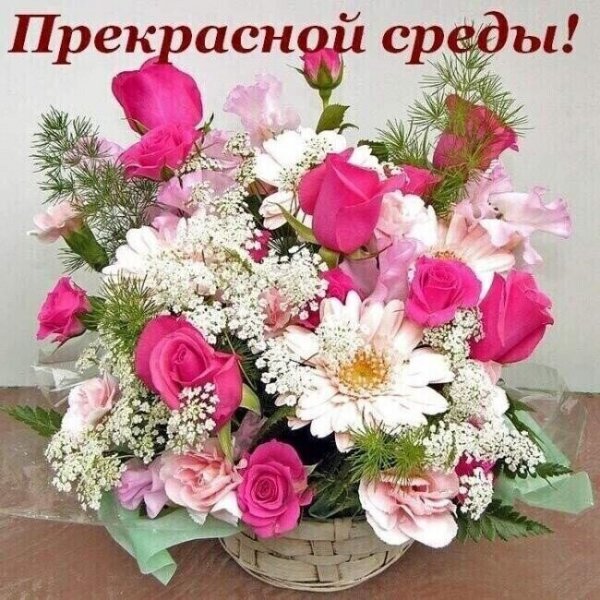Прекрасной среды