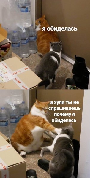 file_80566333