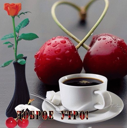 доброе утро 101457