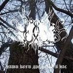 Dark Interment - Голос холода