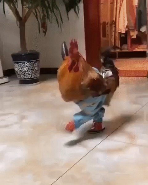 ПЕРВЫЙ ПАРЕНЬ НА ДЕРЕВНЕ!!!