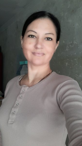 file_94530695