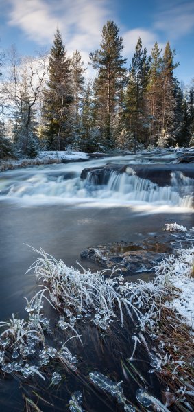 file_101720705