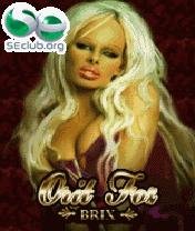 Orit Fox Brix 240x320