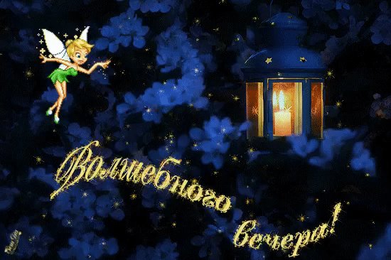 волшебного вечера!