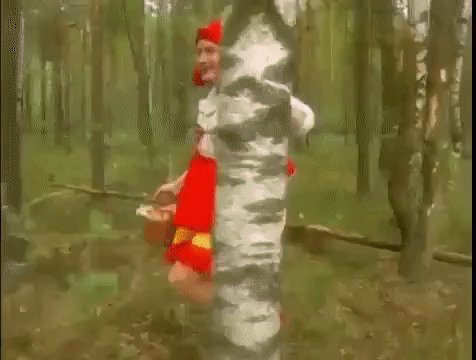 КРАСНАЯ ШАПОЧКА. (грузинский басня).