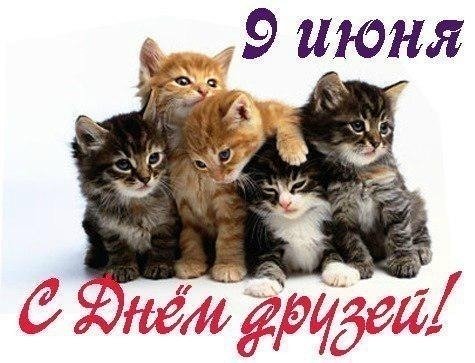 file_90697585