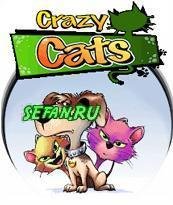 Crazy Cats 240