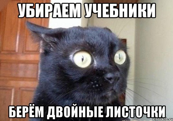 TlfOz8 AAMc