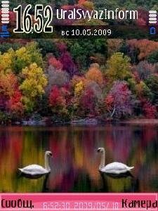 Nature