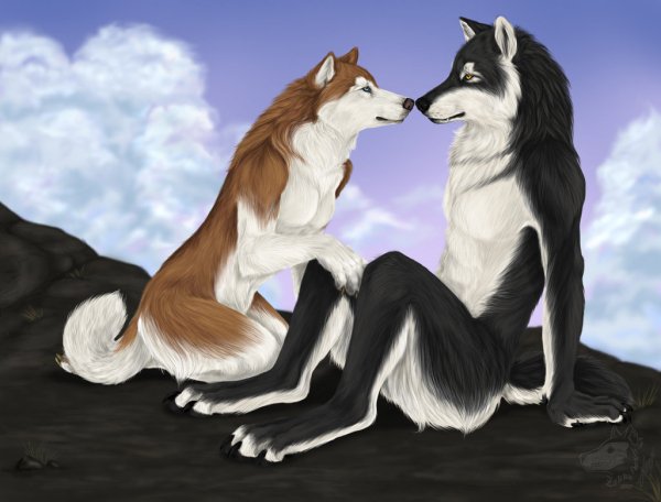 xipoid and lyandie by yellow eyes