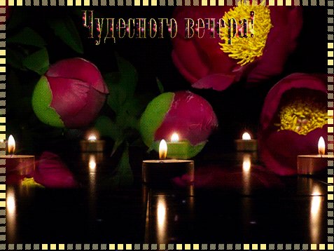 Анимированная открытка чудесного вечера