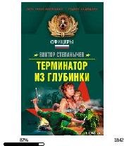В.Степанычев-Терминатор из глубинки
