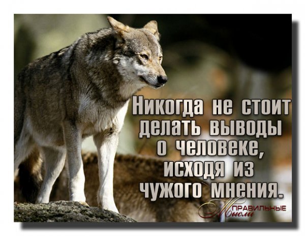 Чужое мнение