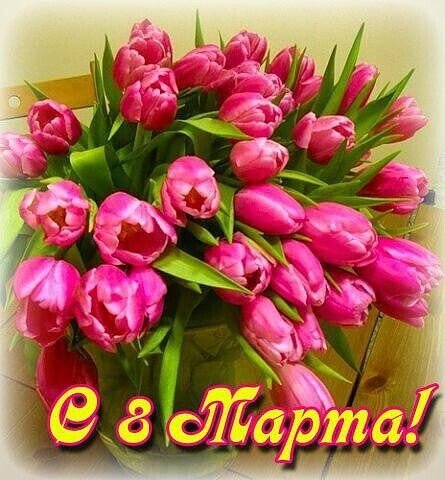 image (51)