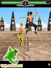 Bruce Lee-Iron Fist 3D