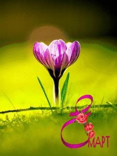 file_67752263