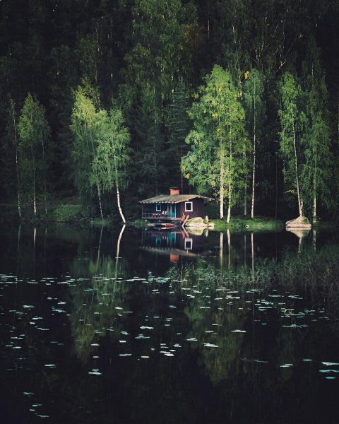 file_93257419