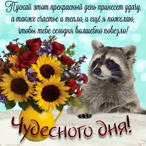IMG 20190130 706048