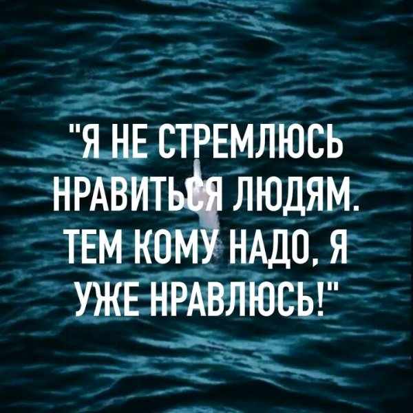 file_95952615
