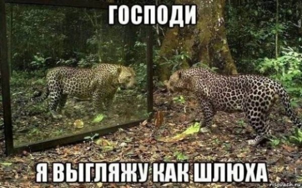 file_103229119
