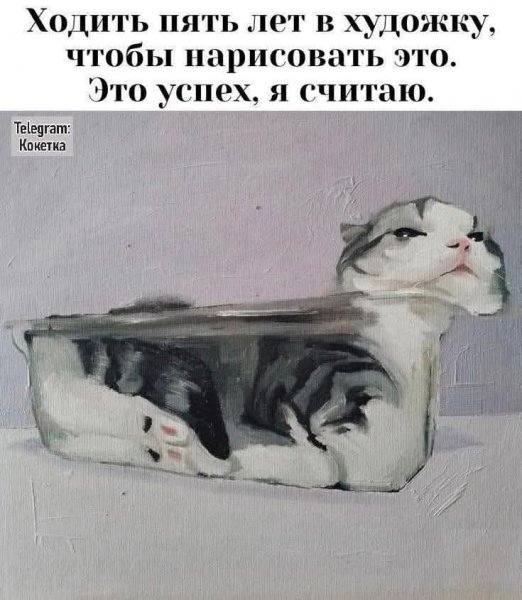 FB IMG 1778703643194