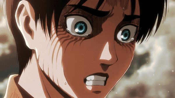 eren-i-mikasa