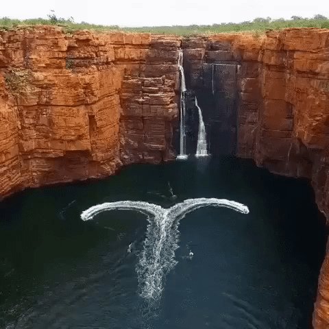Сердце
