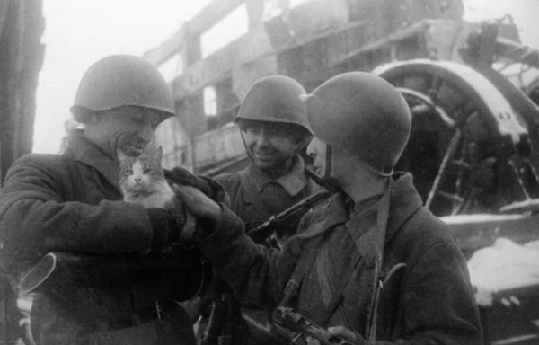 Воины Красной Армии