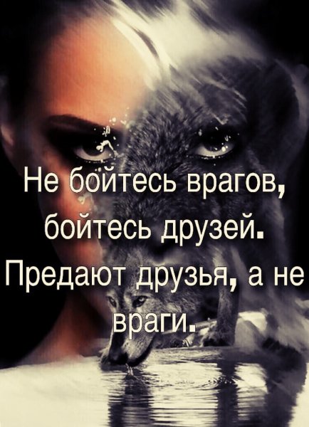 Бойтесь друзей