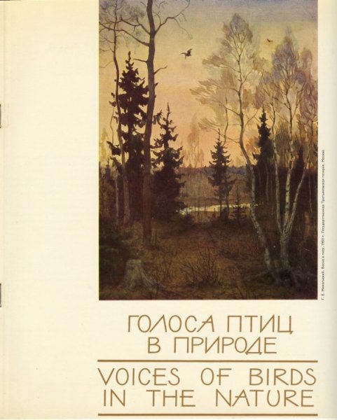 Голоса птиц в природе - 3-1