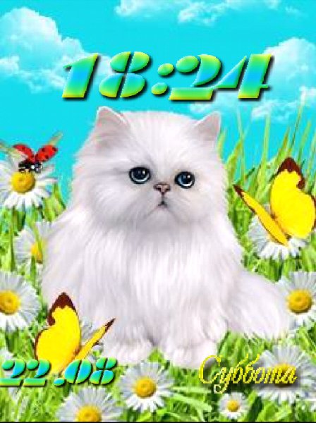 Котёнок