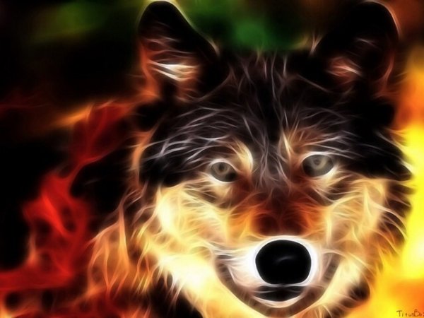 volk neon