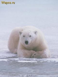 file_81053892