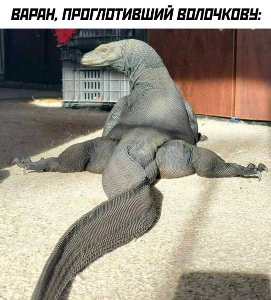 Приколы юмор (43)