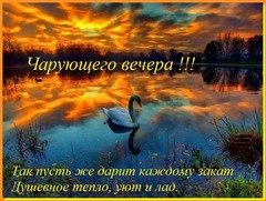 Чарующего вечера