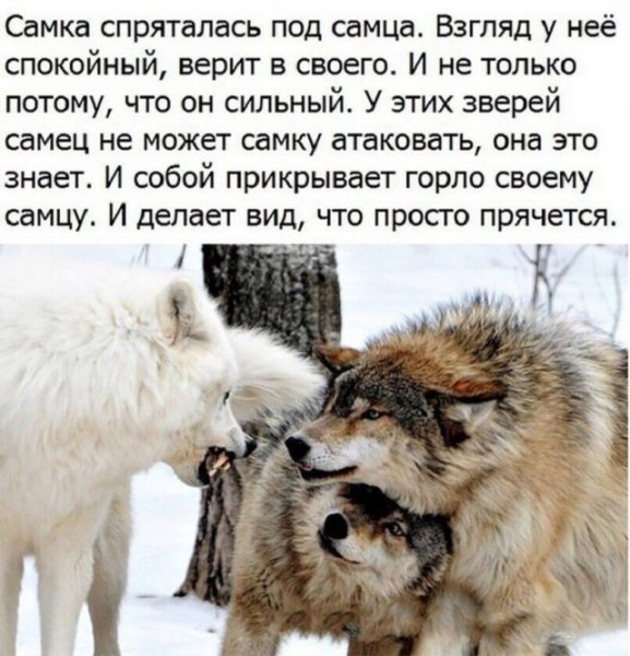 file_102217837