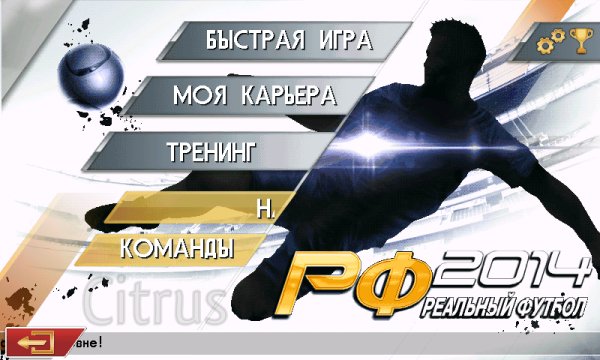 Real Football 2014 480x800 RU