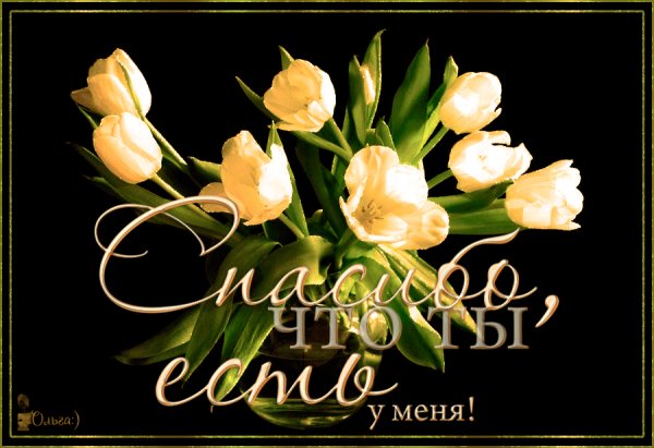 Спасибо, что ты есть у меня!