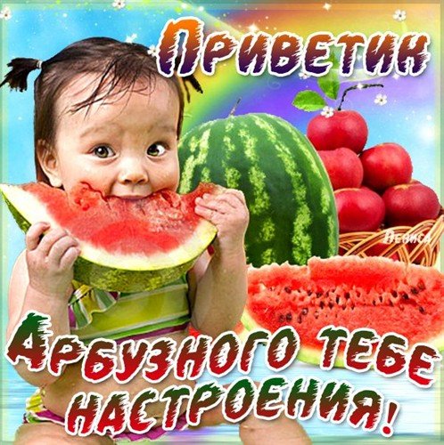 file_46488095