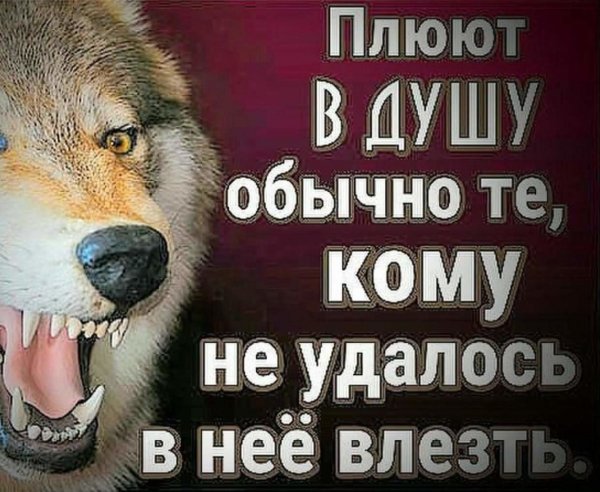 Плюют в душу