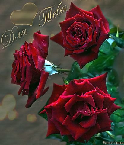 Dlya mebya