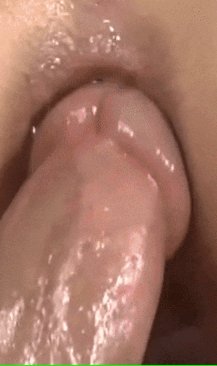 IMG 20241102 123406