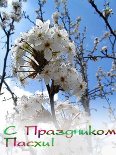 file_55637166