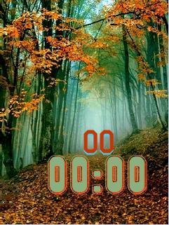 the colors of autumn