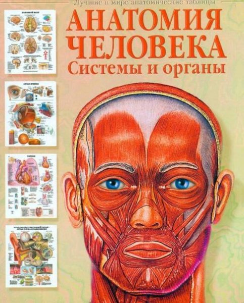 Anatomia cheloveka Sistemy i organy