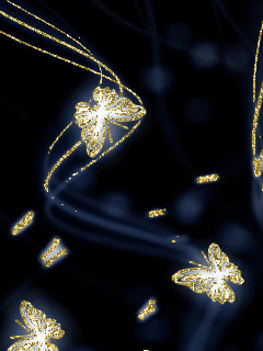 butterflies