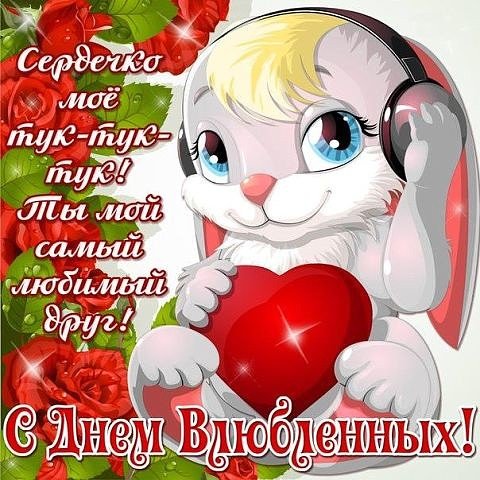IMG 20160213 160510 13